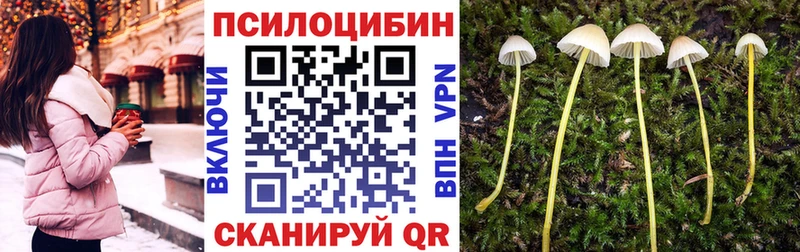 Галлюциногенные грибы Magic Shrooms  blacksprut ONION  Жуков  как найти закладки 